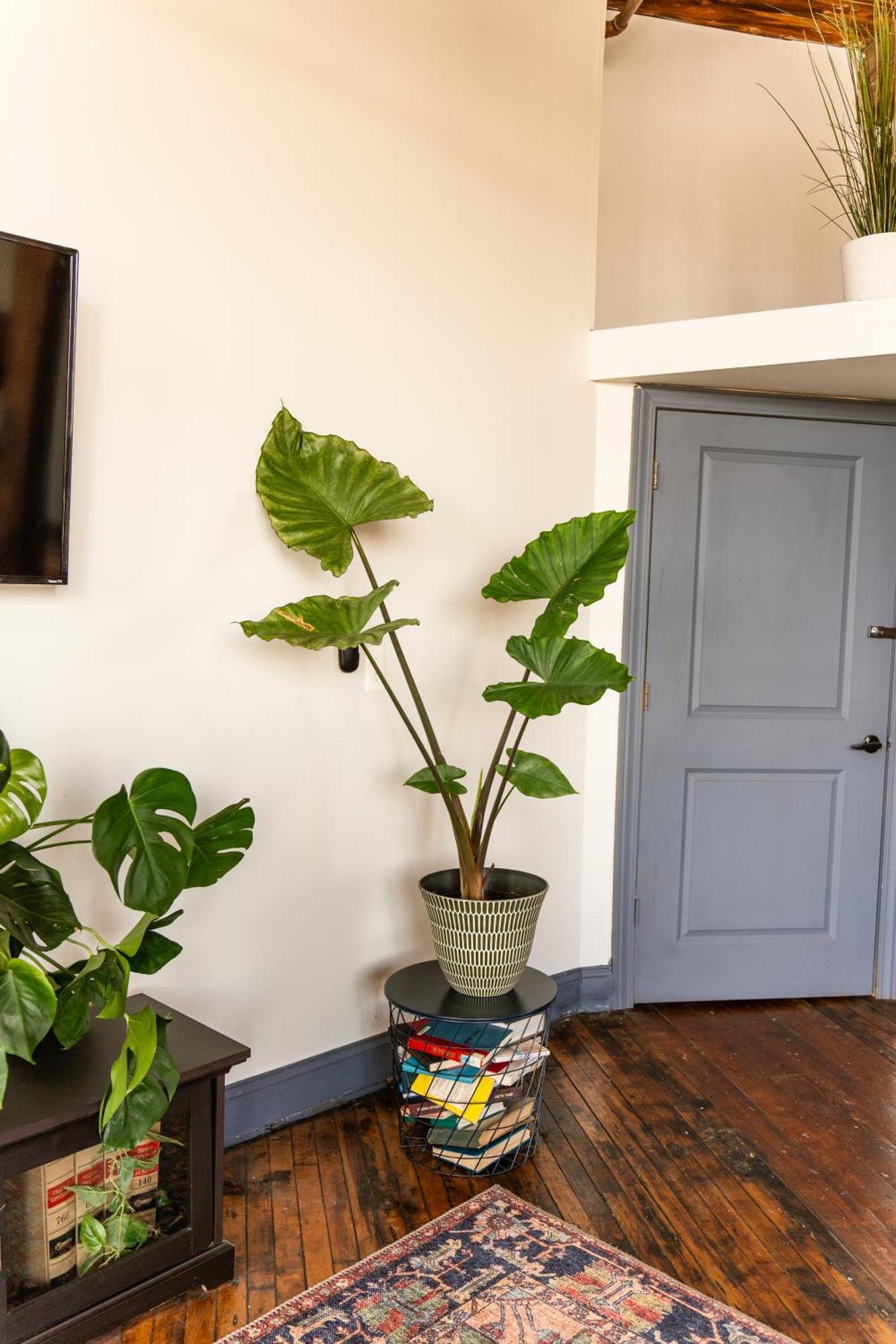 דטרויט 420 Friendly Canada Bridge View Loft Downtown Free Parking מראה חיצוני תמונה